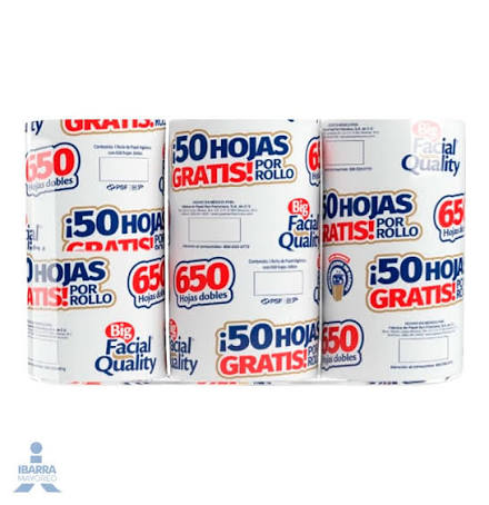 BIG QUALITY 650 BONUS 50 HOJAS