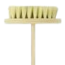 CEPILLO IXTLE 14"